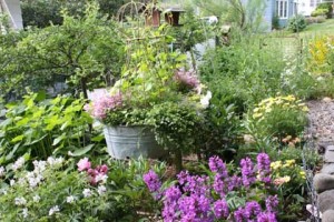 Washtub Planters