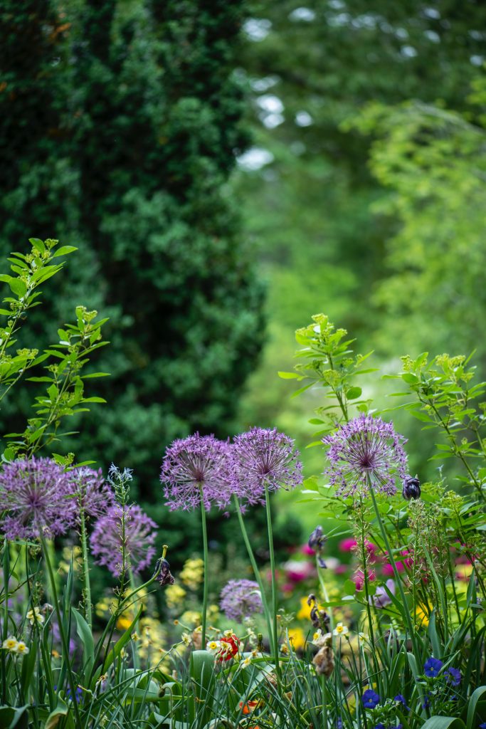 garden microclimate