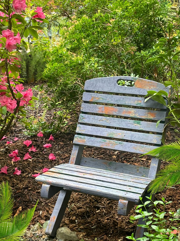 Rustic chair in the garden.
