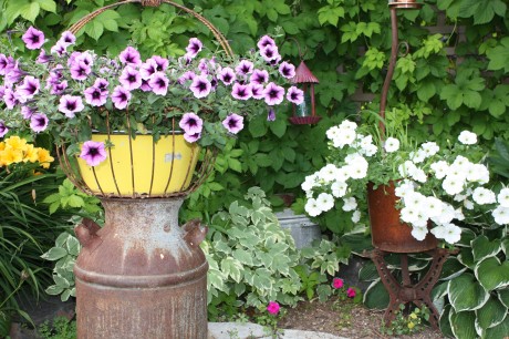 Rustic Container Gardening