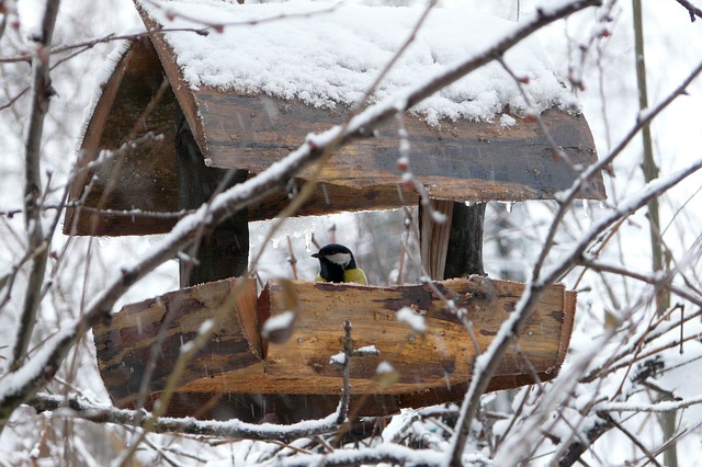 rustic bird feeder