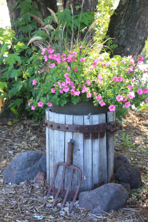 Wine Press Container Garden