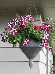 Vintage Funnel Planter