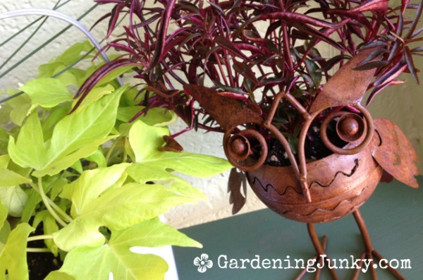 Gardening Junky - Rusty Owl