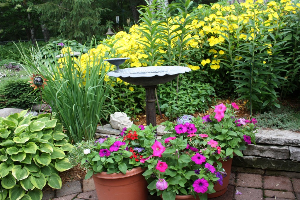 Deadheading Flowers