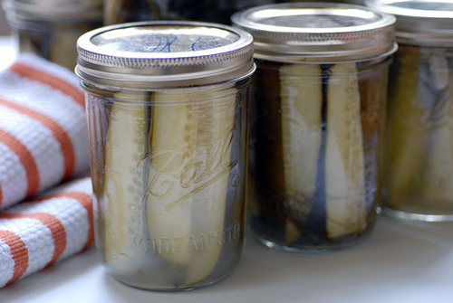 Canning Pickles Canning Pickles