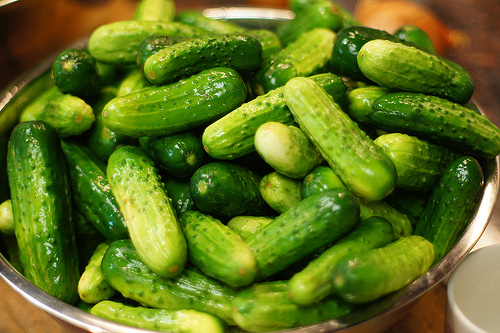 SONY DSC Cucumbers
