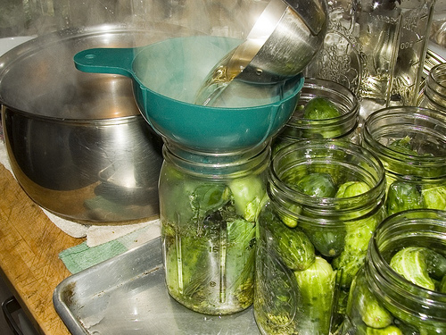 Preparing Pickles