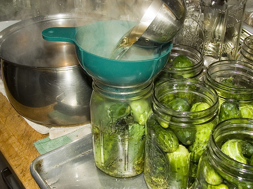 Preparing Pickles Preparing Pickles