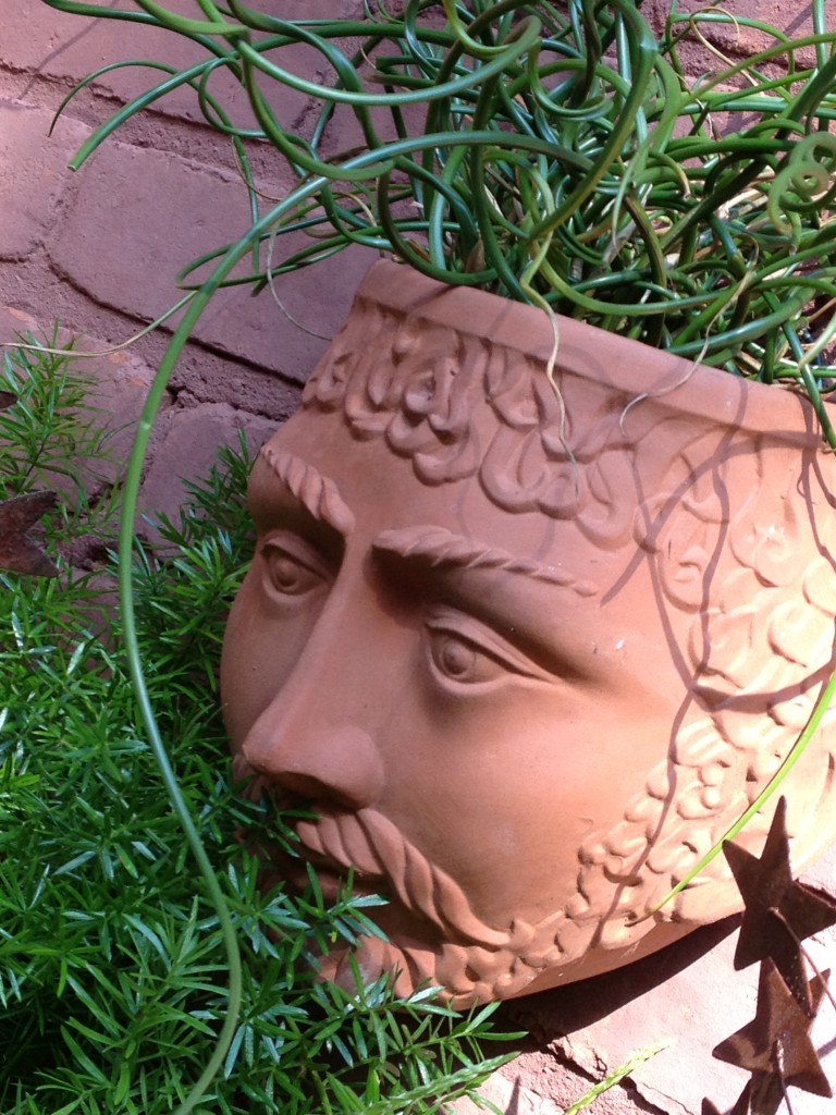 Head Planter