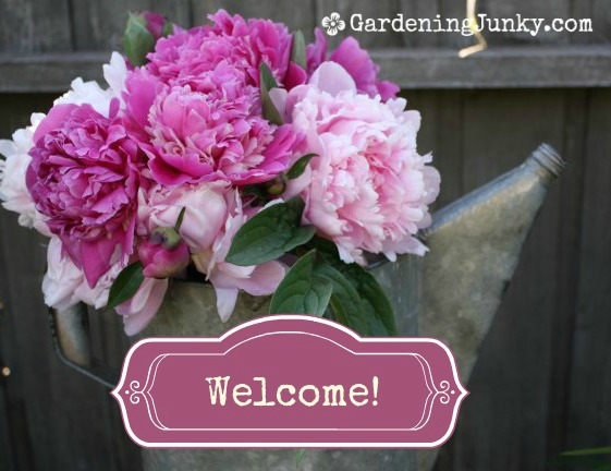 Gardening Junky WELCOME