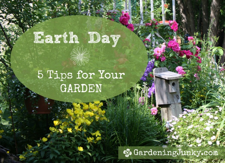 Earth Day Tips for Your Garden