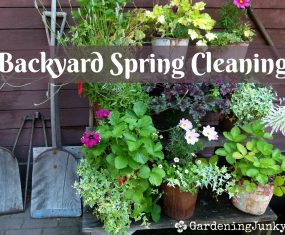 Backyard – Spring Cleaning
