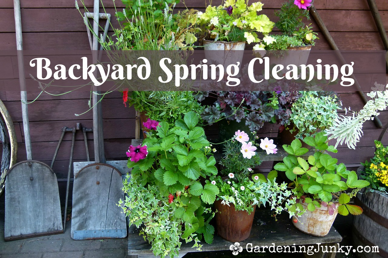 Backyard spring cleaning