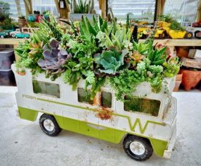 DIY Succulent Garden Ideas