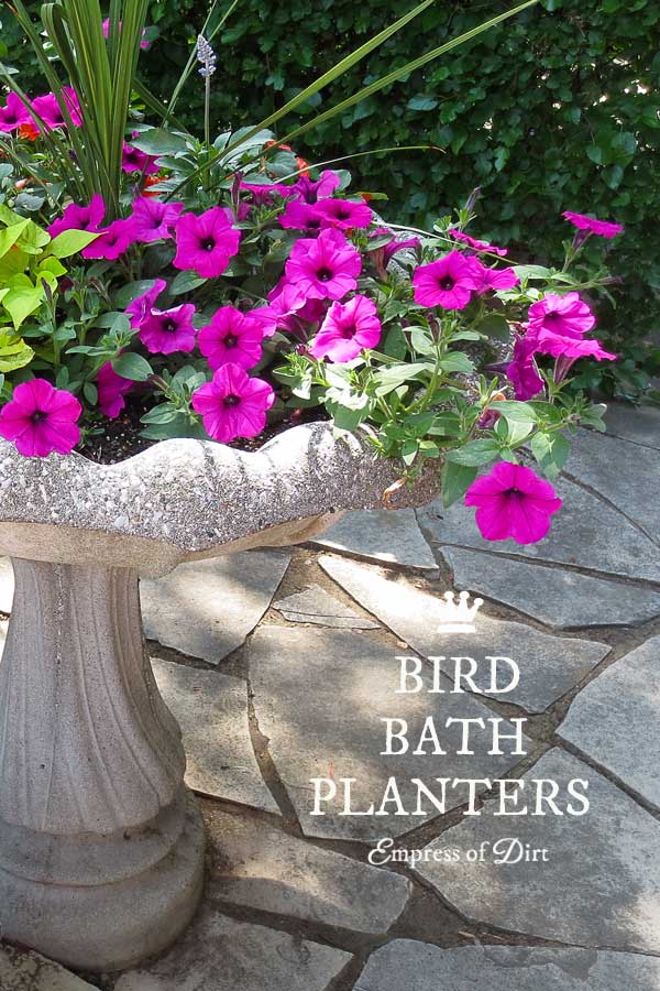 DIY Bird Bath Planter Ideas
