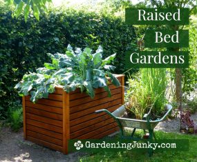 The Benefits of Raised Bed Gardens