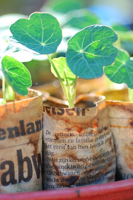 Frugal DIY Seed Starting Pots [Video]