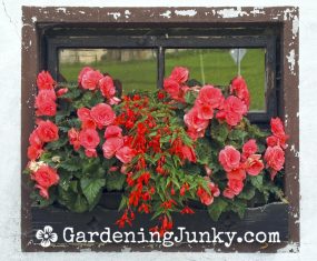 DIY Garden Window Box