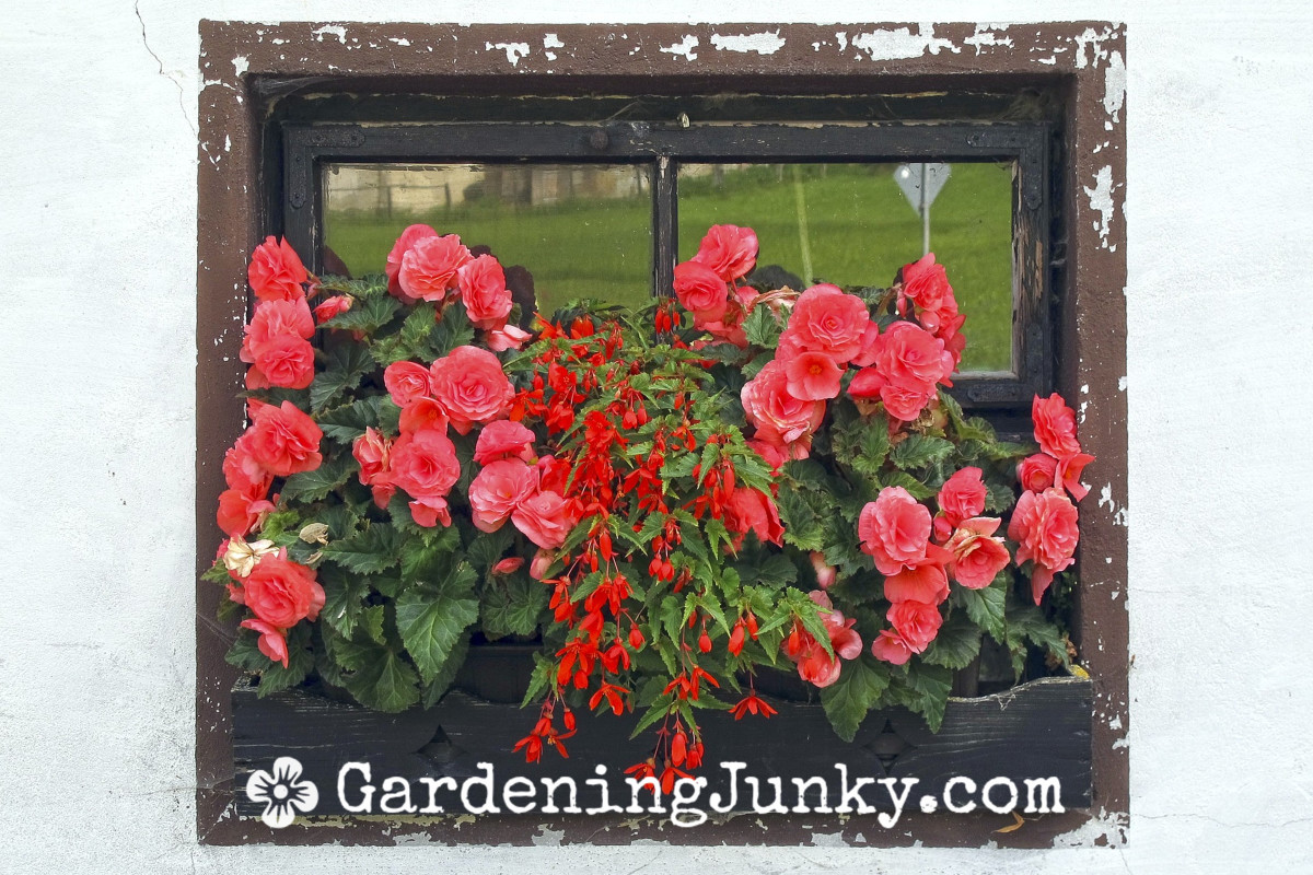 DIY Garden Flower Box