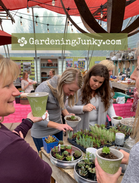 Gardening Junky Succulent Bar
