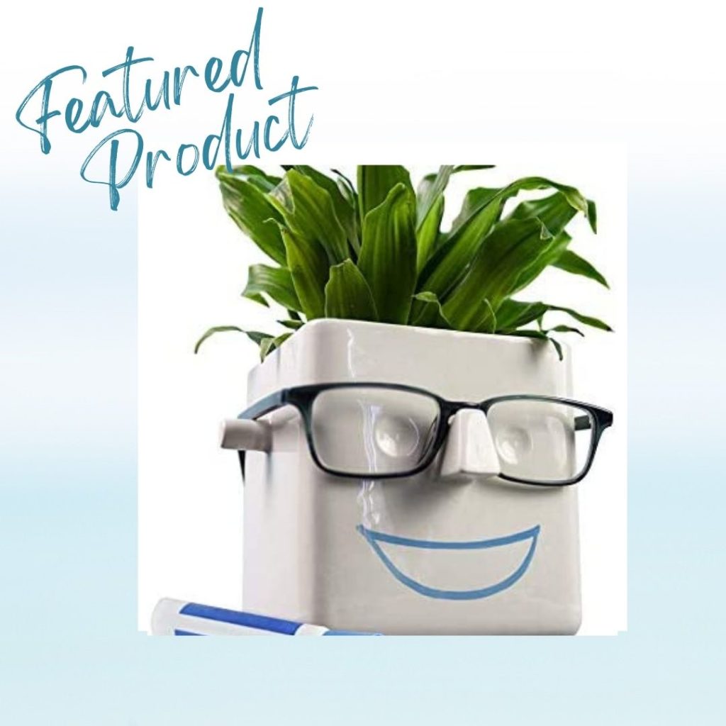 Eye glasses holder planter