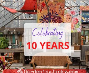 Celebrating 10 Years at Gardening Junky