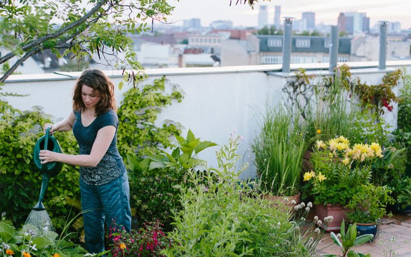 woman tending a backyard garden