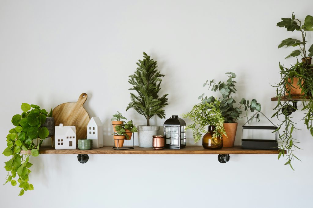 indoor gardening - decorate with plants