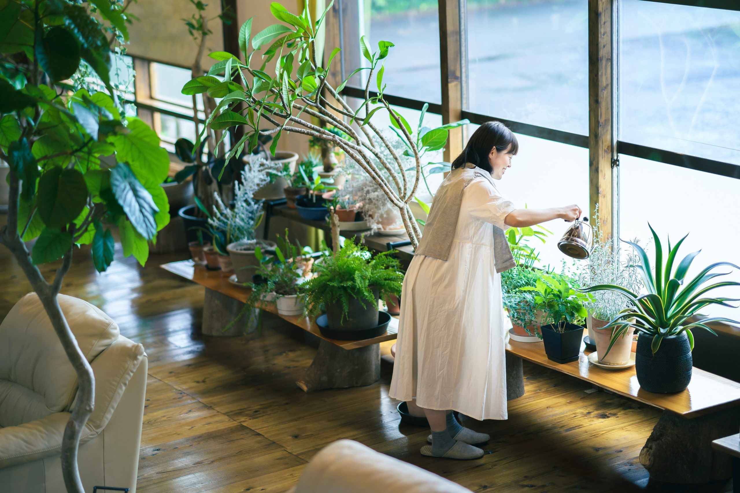 Embrace the Green Life: 7 Benefits of Indoor Gardening