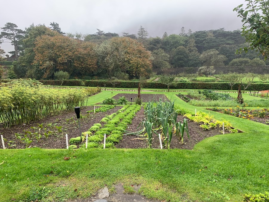 Vegetable gardens at Kylemore Abbey