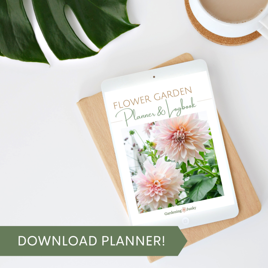 Flower garden planner